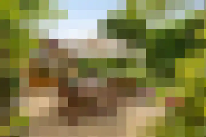 van Ruysdaellaan 60 Bergschenhoek thumbnail 18