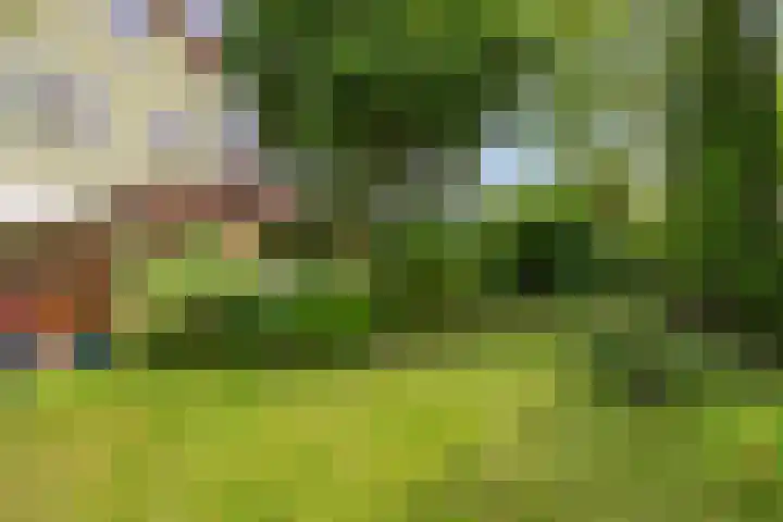 van Ruysdaellaan 60 Bergschenhoek thumbnail 20