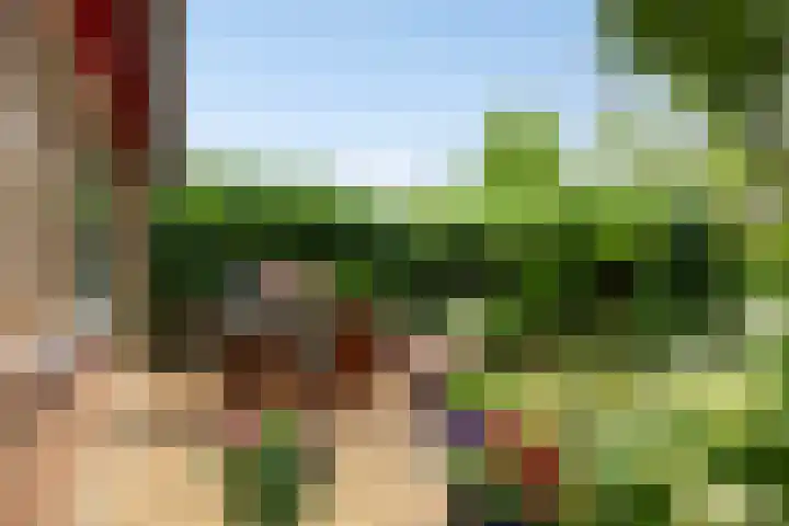 van Ruysdaellaan 60 Bergschenhoek thumbnail 21