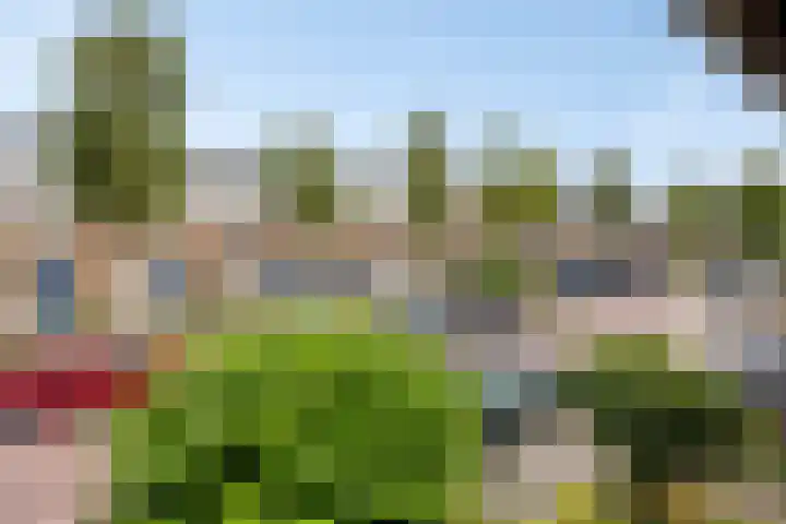 van Ruysdaellaan 60 Bergschenhoek thumbnail 27
