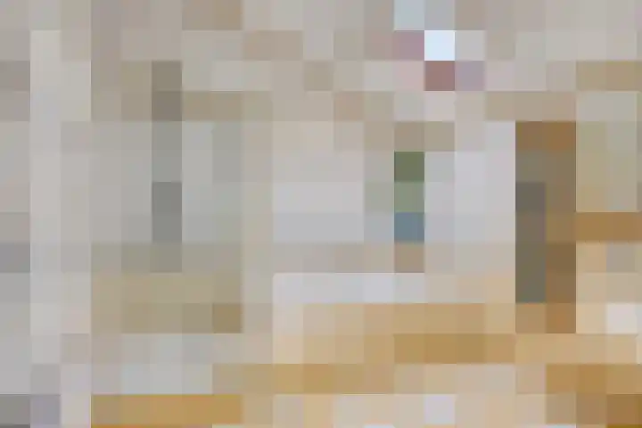 van Ruysdaellaan 60 Bergschenhoek thumbnail 29