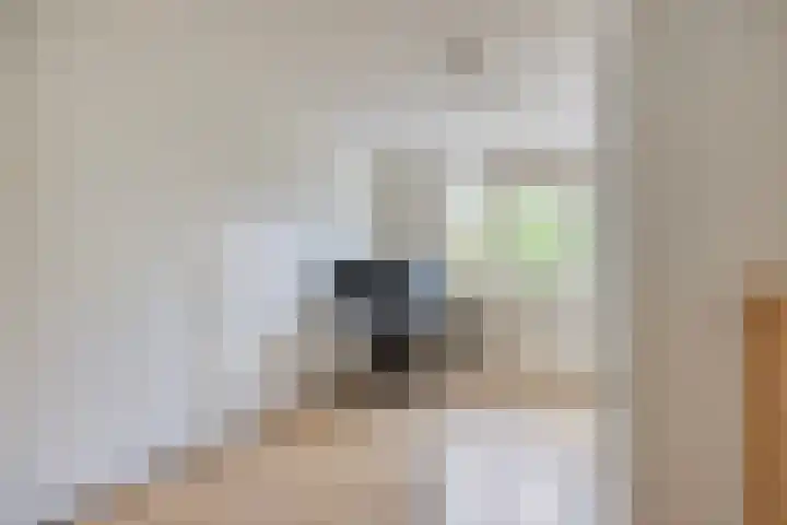 van Ruysdaellaan 60 Bergschenhoek thumbnail 31
