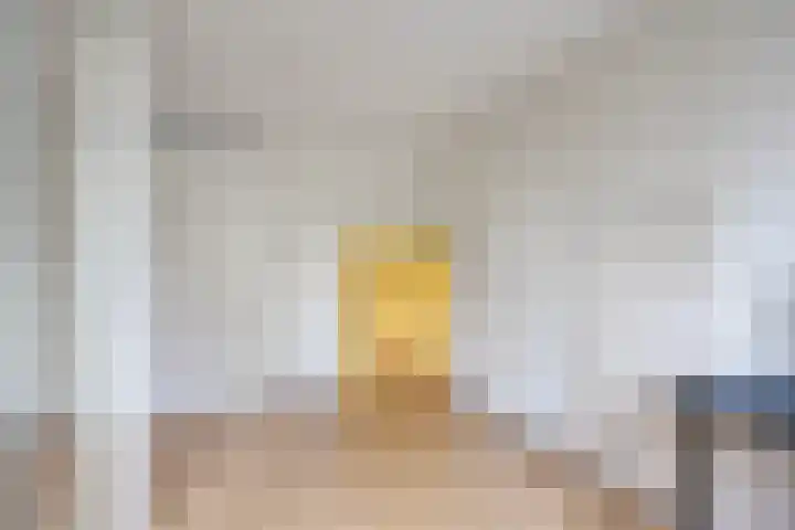van Ruysdaellaan 60 Bergschenhoek thumbnail 32