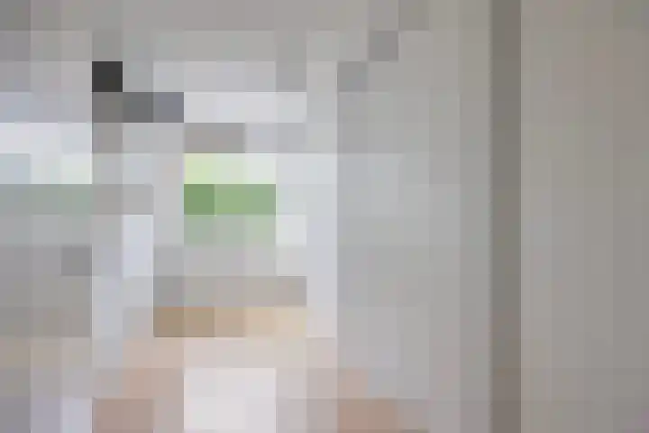 van Ruysdaellaan 60 Bergschenhoek thumbnail 33