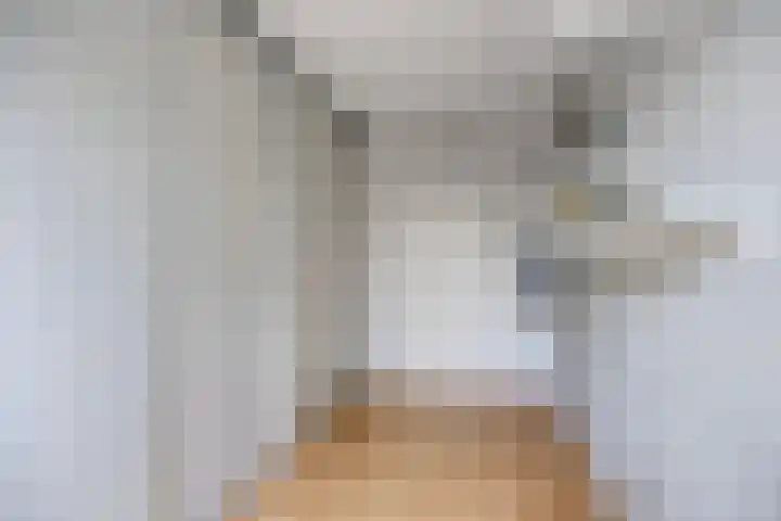 van Ruysdaellaan 60 Bergschenhoek thumbnail 34