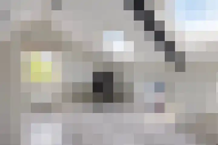 van Ruysdaellaan 60 Bergschenhoek thumbnail 36