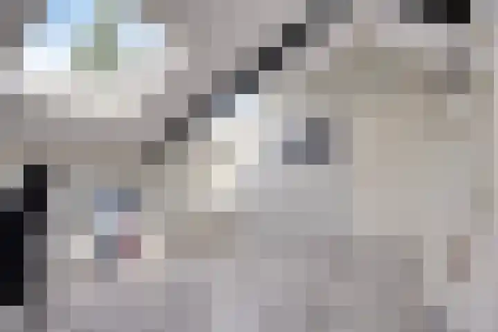 van Ruysdaellaan 60 Bergschenhoek thumbnail 37