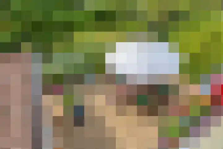 van Ruysdaellaan 60 Bergschenhoek thumbnail 39