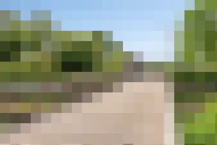 van Ruysdaellaan 60 Bergschenhoek thumbnail 40