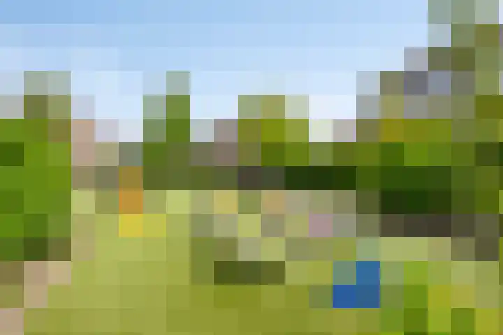 van Ruysdaellaan 60 Bergschenhoek thumbnail 42