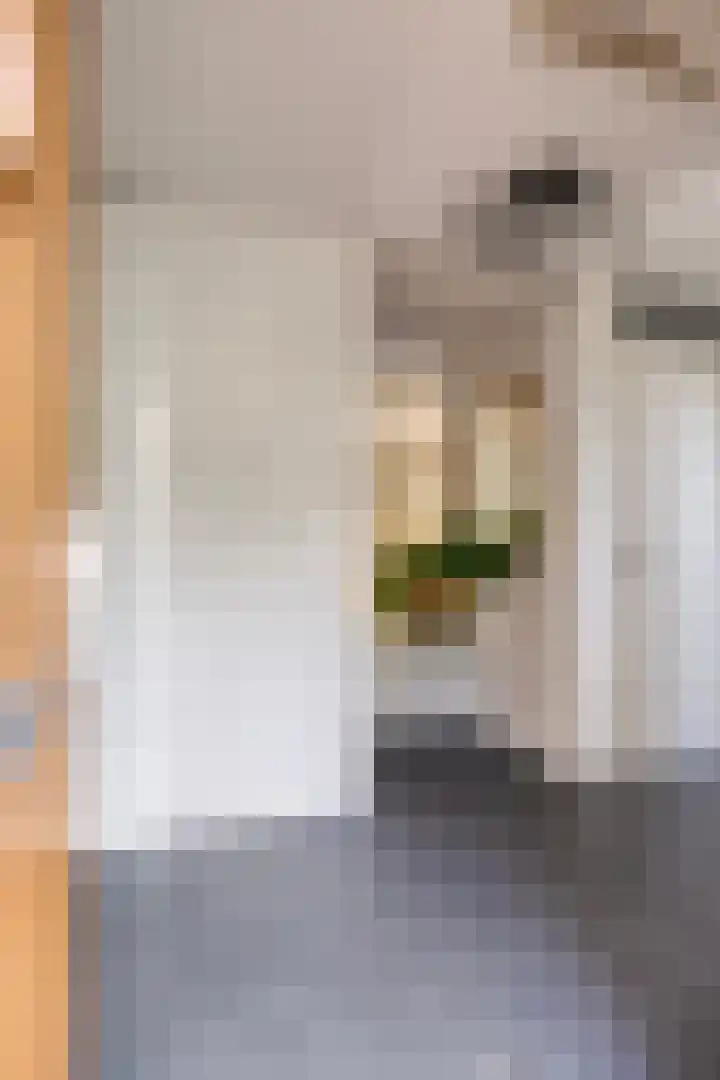 van Ruysdaellaan 60 Bergschenhoek thumbnail 6