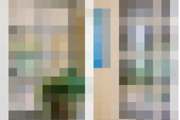 van Ruysdaellaan 60 Bergschenhoek thumbnail 7