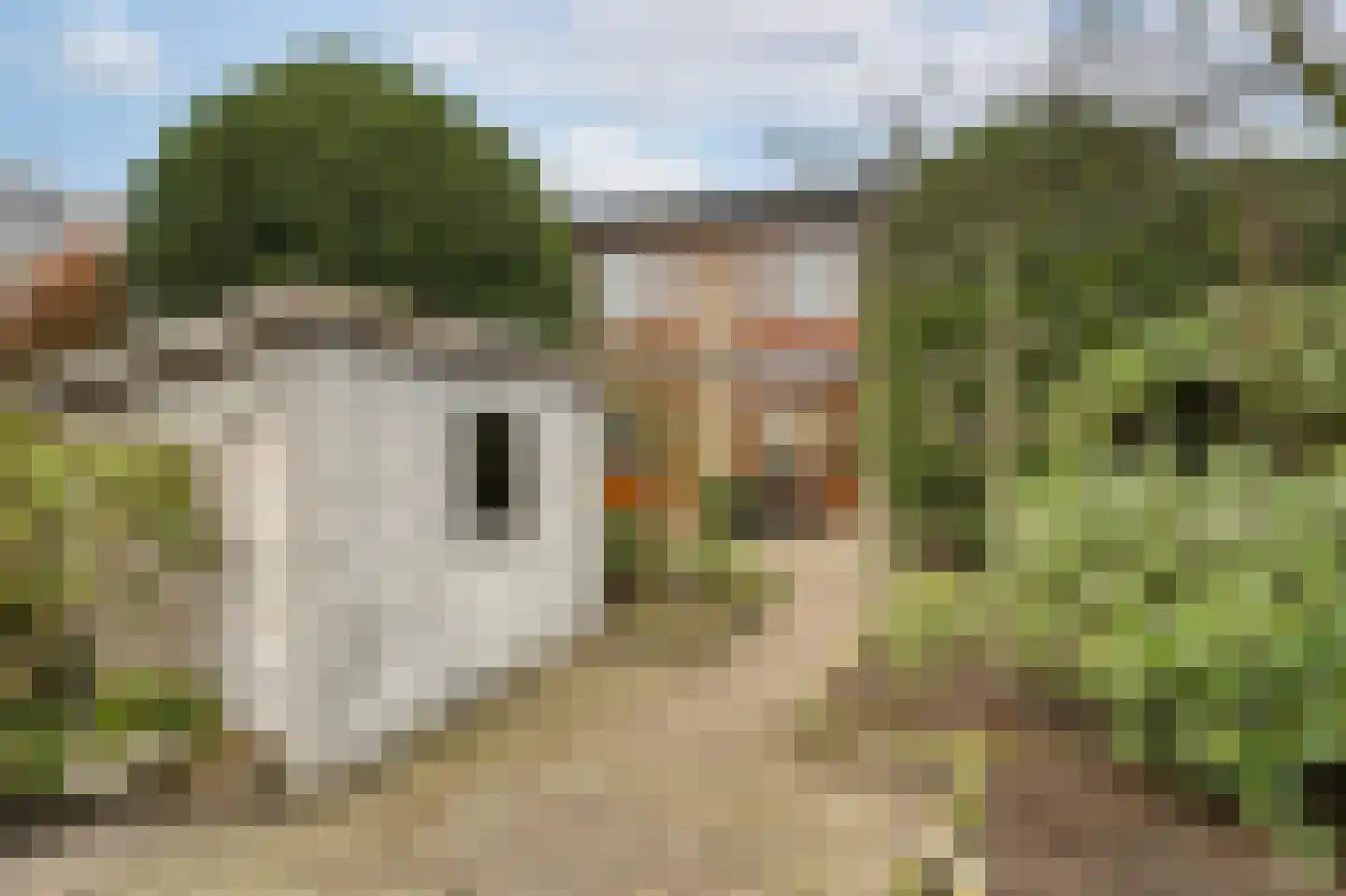 van Ruysdaellaan 64 Leidschendam thumbnail 22