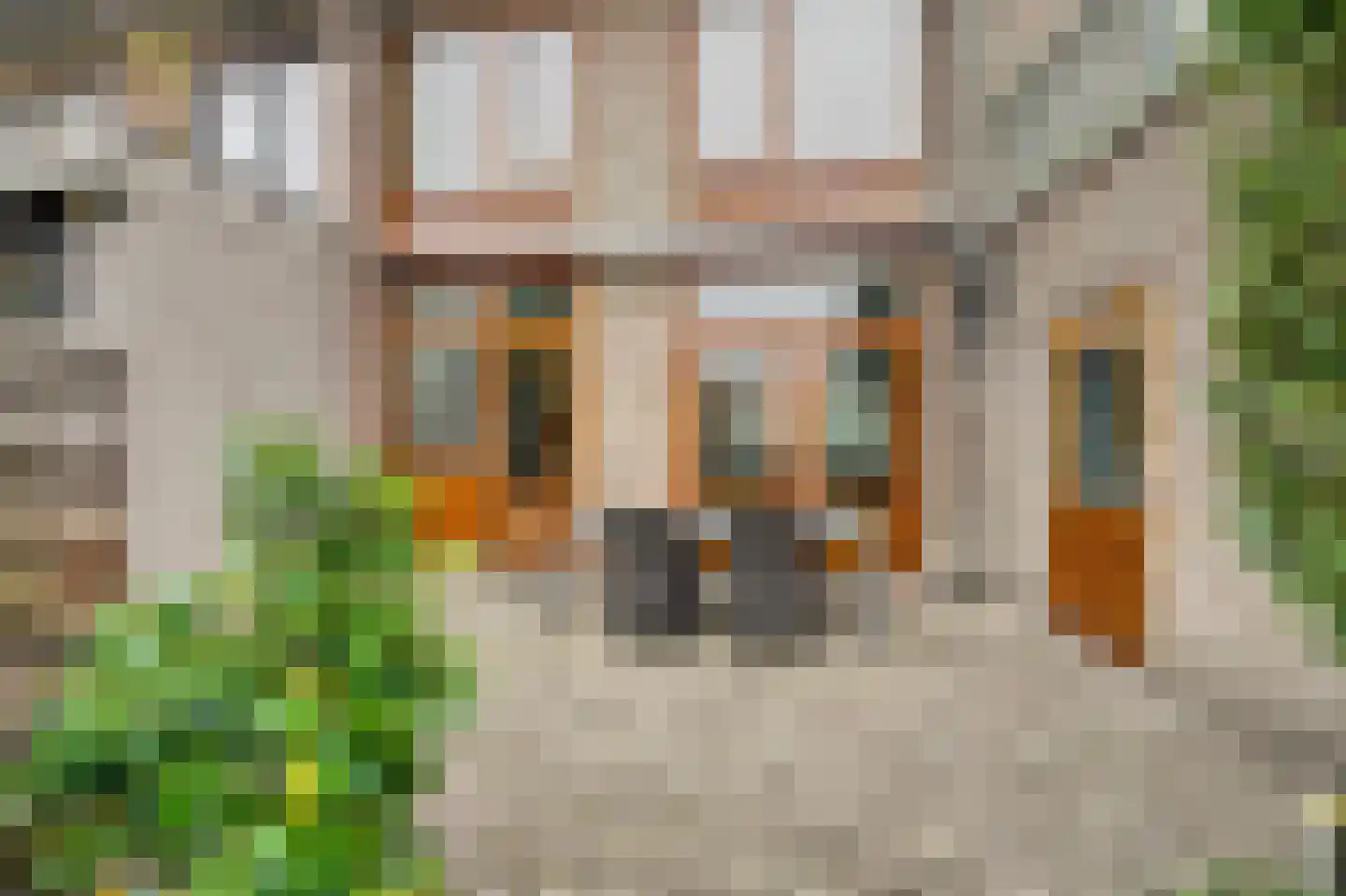 van Ruysdaellaan 64 Leidschendam thumbnail 23