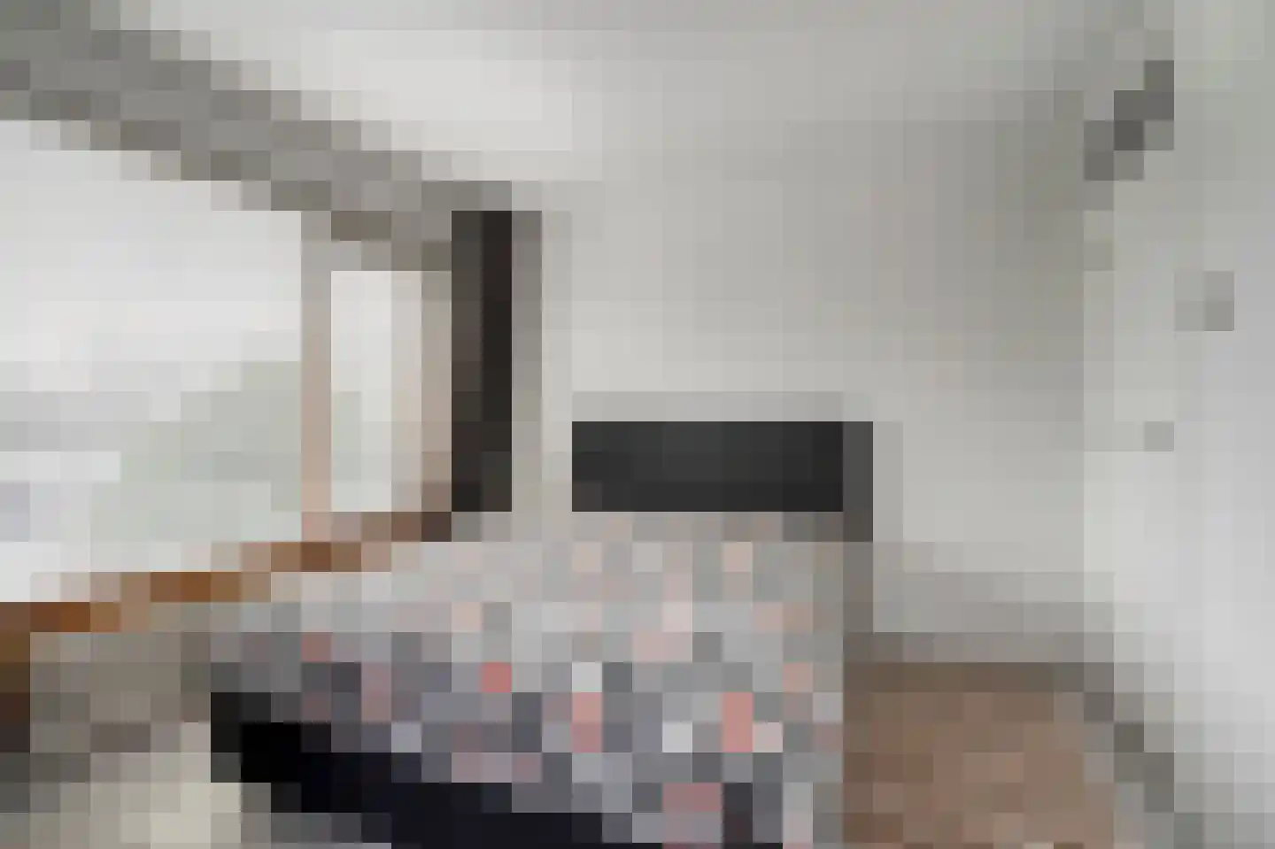 van Ruysdaellaan 64 Leidschendam thumbnail 32