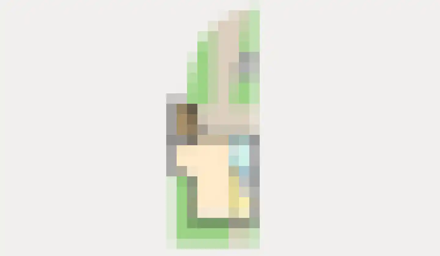 van Ruysdaellaan 64 Leidschendam thumbnail 39