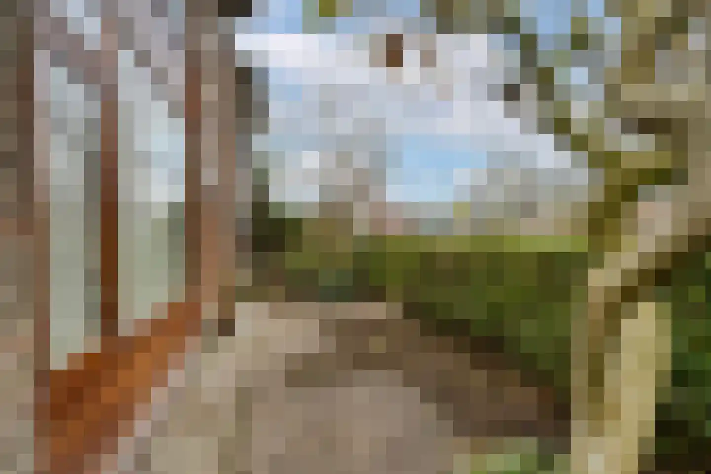 van Ruysdaellaan 64 Leidschendam thumbnail 5