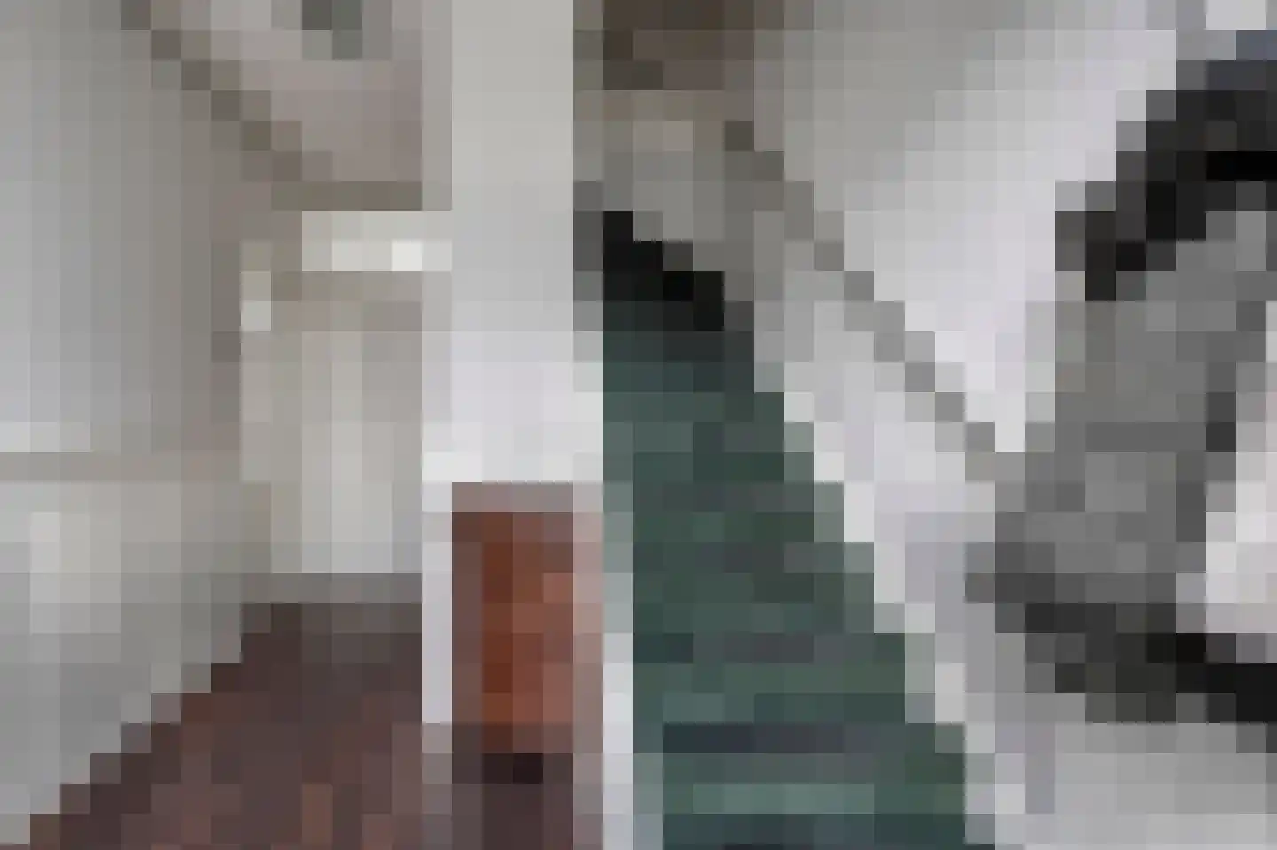 van Ruysdaellaan 64 Leidschendam thumbnail 9
