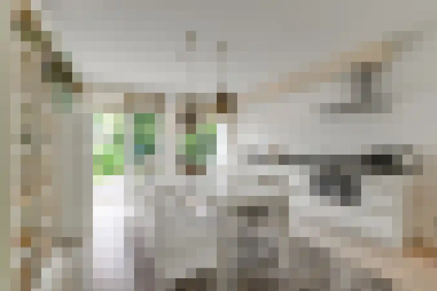 van Ruysdaellaan 8 Leidschendam thumbnail 12