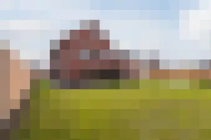 Van Ruysdaelplantsoen 2 Veendam thumbnail 40
