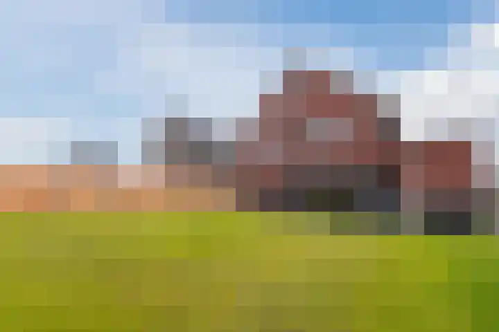 Van Ruysdaelplantsoen 2 Veendam thumbnail 42