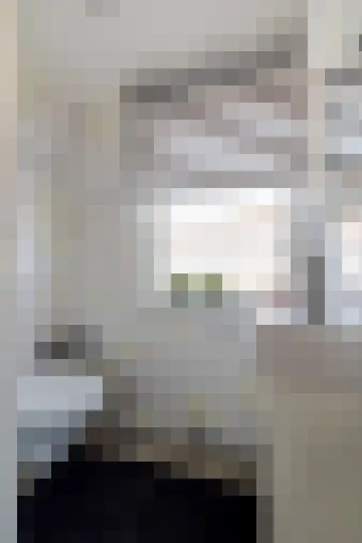 Van Ruysdaelstraat 2 Hardinxveld-Giessendam thumbnail 23