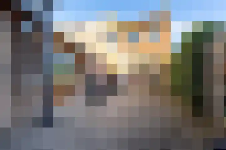 Van Ruysdaelstraat 2 Hardinxveld-Giessendam thumbnail 29