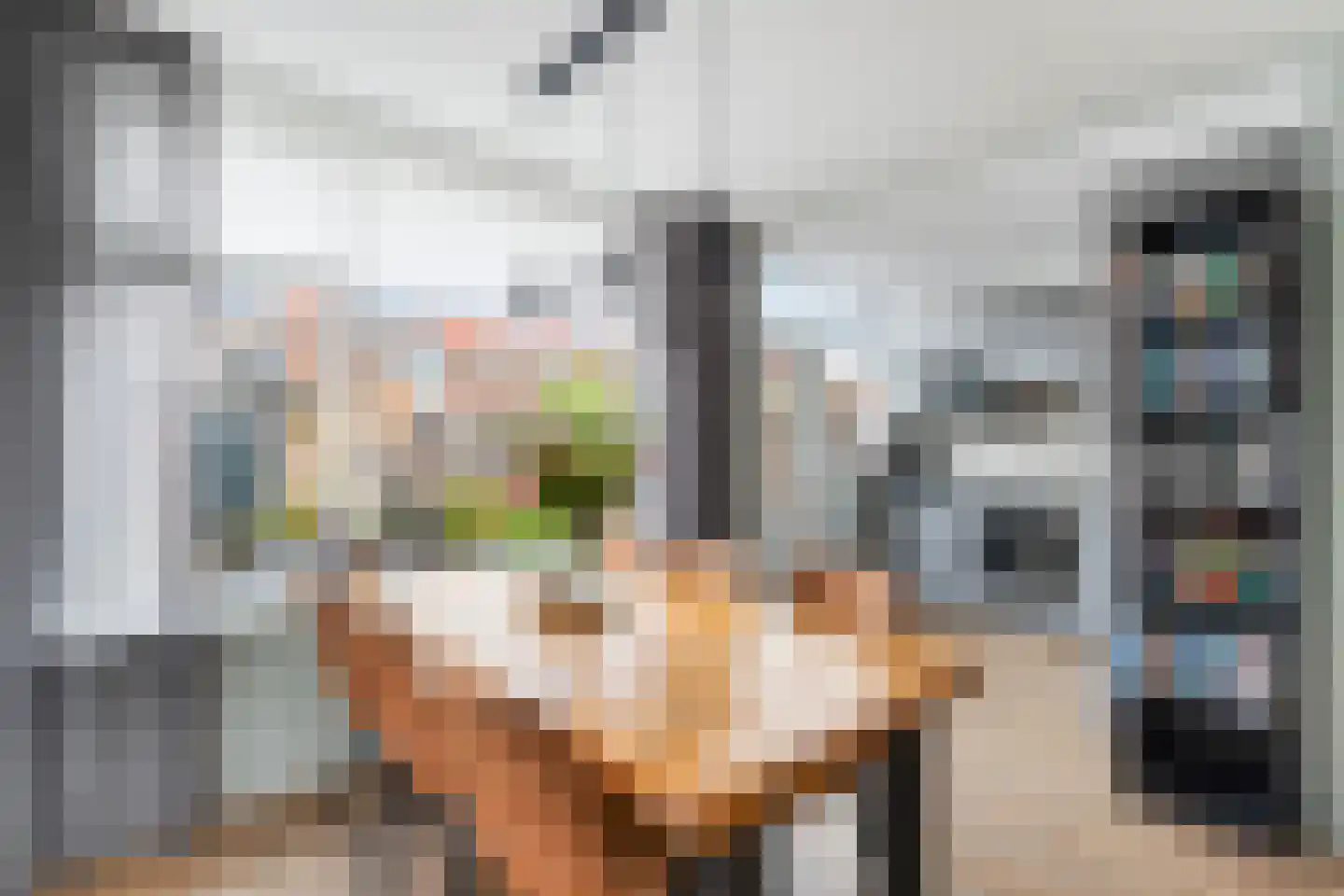 van Ruysdaelstraat 3 Krimpen aan den IJssel thumbnail 11