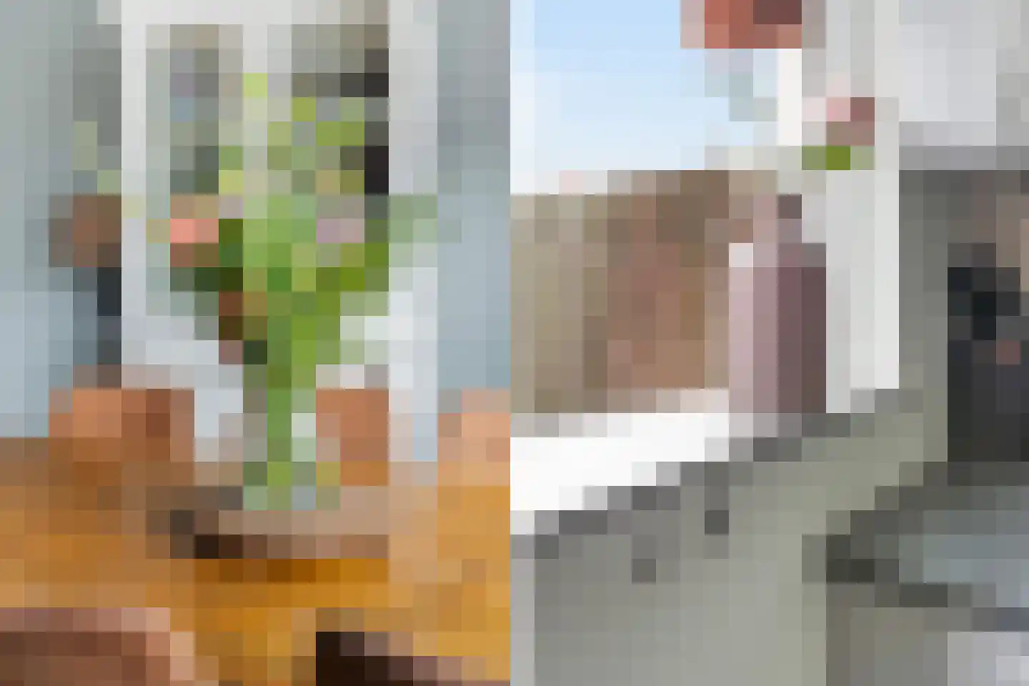 van Ruysdaelstraat 3 Krimpen aan den IJssel thumbnail 13