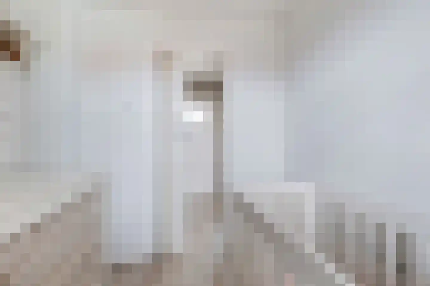 van Ruysdaelstraat 3 Krimpen aan den IJssel thumbnail 25