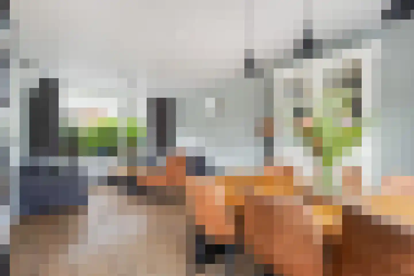 van Ruysdaelstraat 3 Krimpen aan den IJssel thumbnail 4