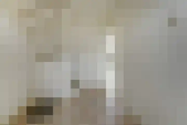 Van Ruysdaelstraat 34 Oudheusden thumbnail 12