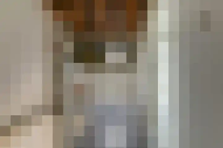 Van Ruysdaelstraat 34 Oudheusden thumbnail 25