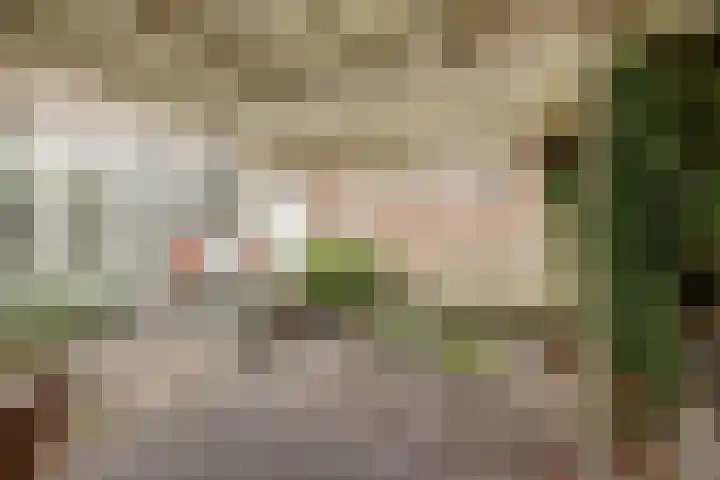 Van Ruysdaelstraat 34 Oudheusden thumbnail 29
