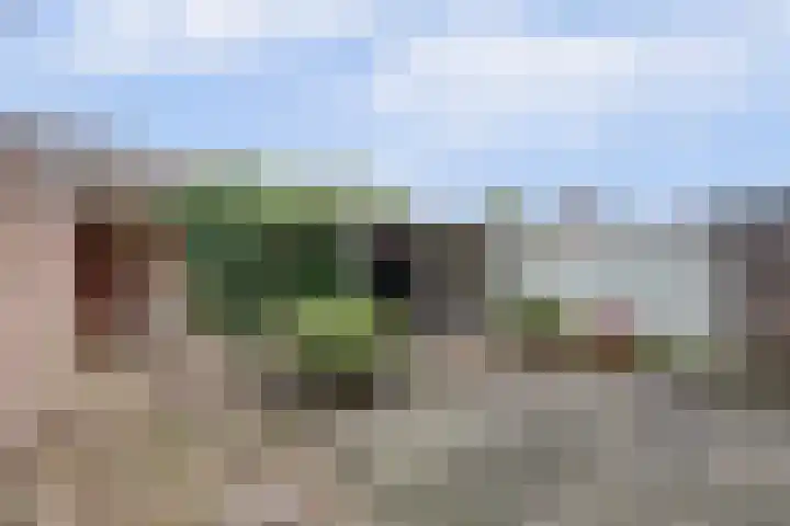Van Ruysdaelstraat 34 Oudheusden thumbnail 30