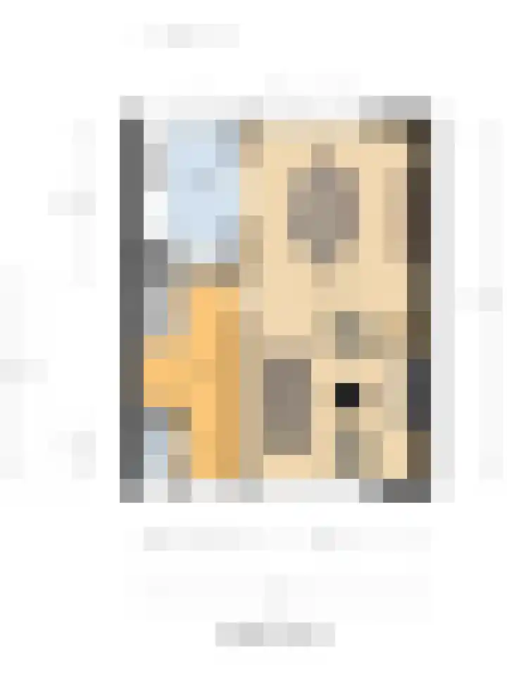 Van Ruysdaelstraat 34 Oudheusden thumbnail 37