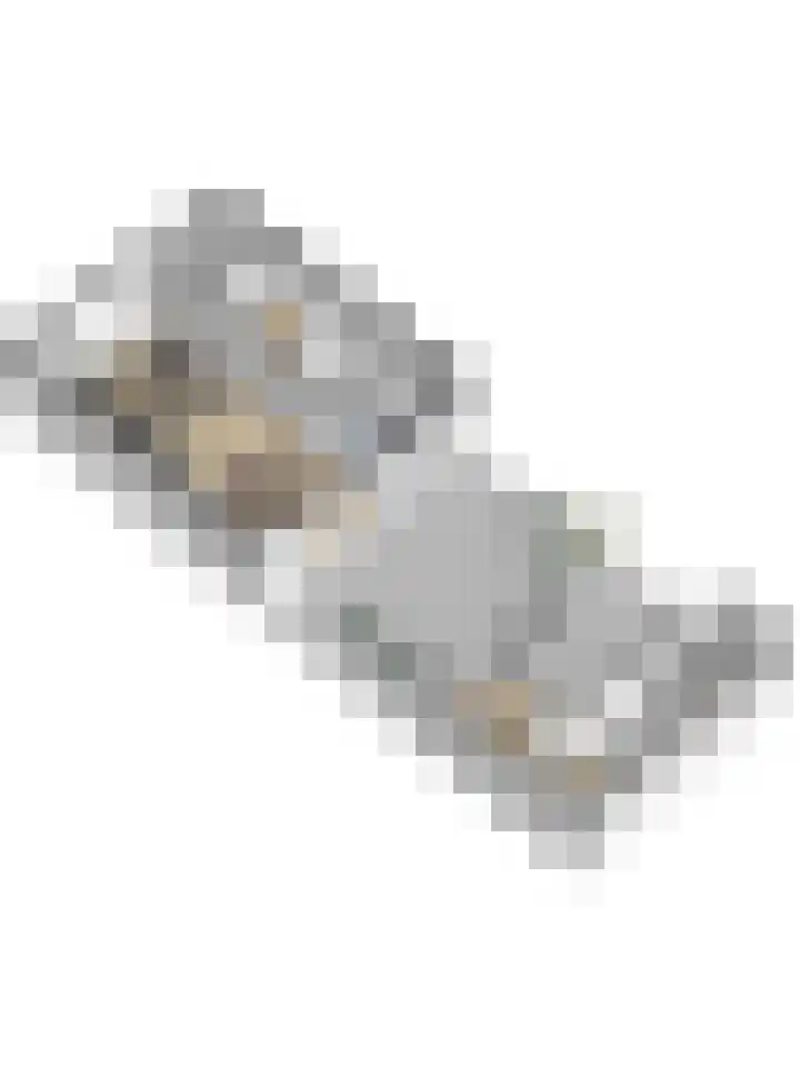 Van Ruysdaelstraat 34 Oudheusden thumbnail 41
