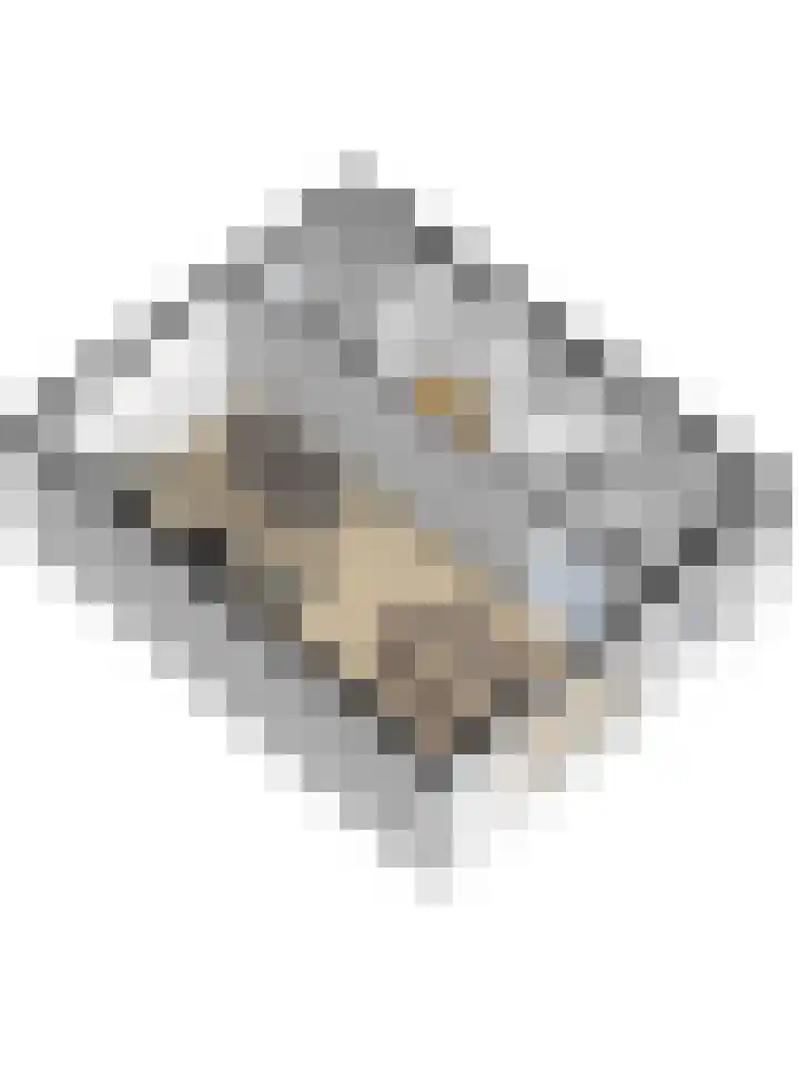 Van Ruysdaelstraat 34 Oudheusden thumbnail 42