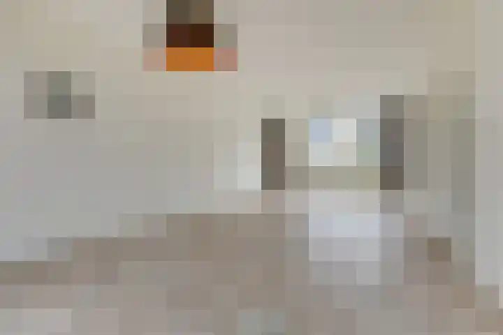 Van Ruysdaelstraat 34 Oudheusden thumbnail 6