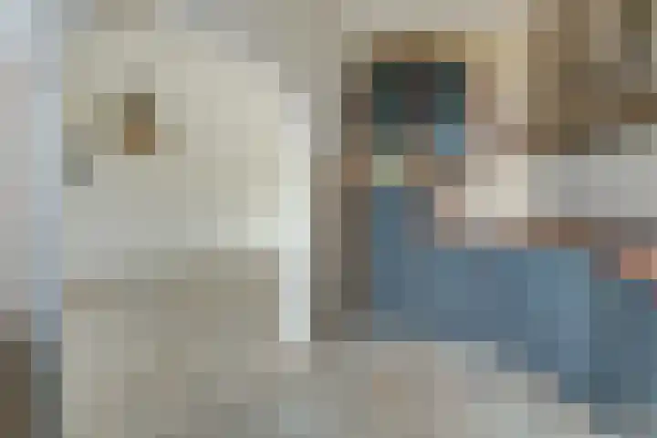 Van Ruysdaelstraat 34 Oudheusden thumbnail 8