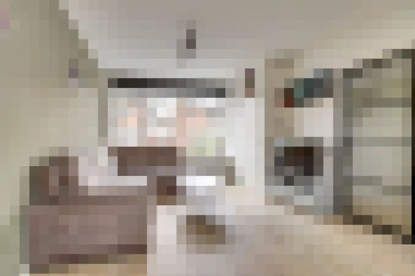 van Ruysdaelstraat 4 Hazerswoude-Dorp thumbnail 11