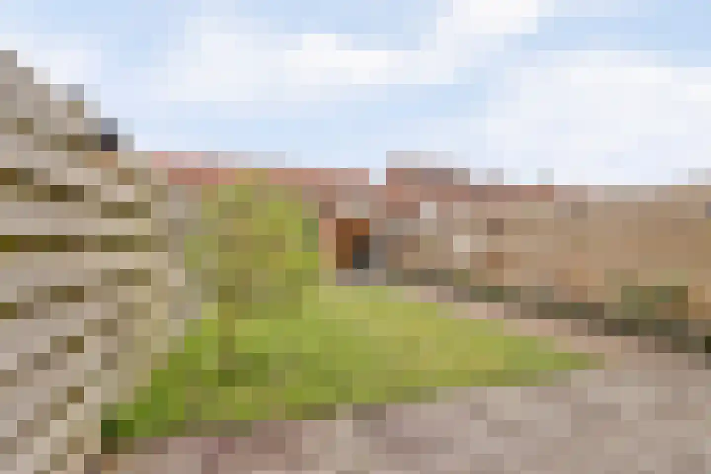 van Ruysdaelstraat 4 Hazerswoude-Dorp thumbnail 27