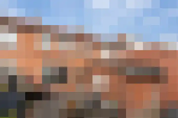 Van Ruysdaelstraat 5 Hardinxveld-Giessendam thumbnail 32