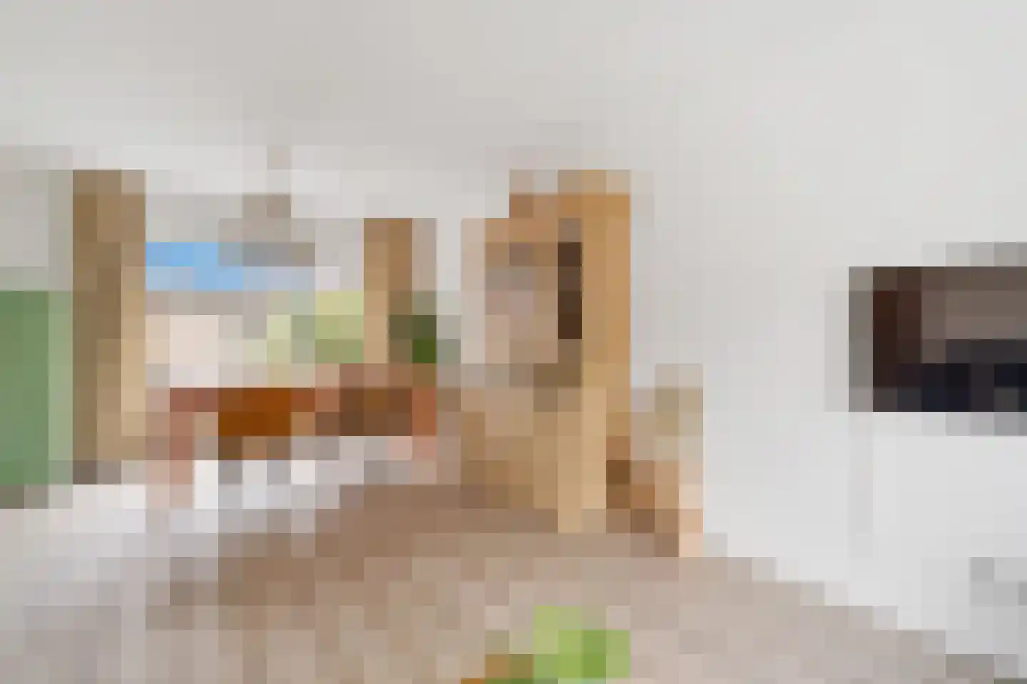 van Ruysdaelstraat 6 Nijverdal thumbnail 6