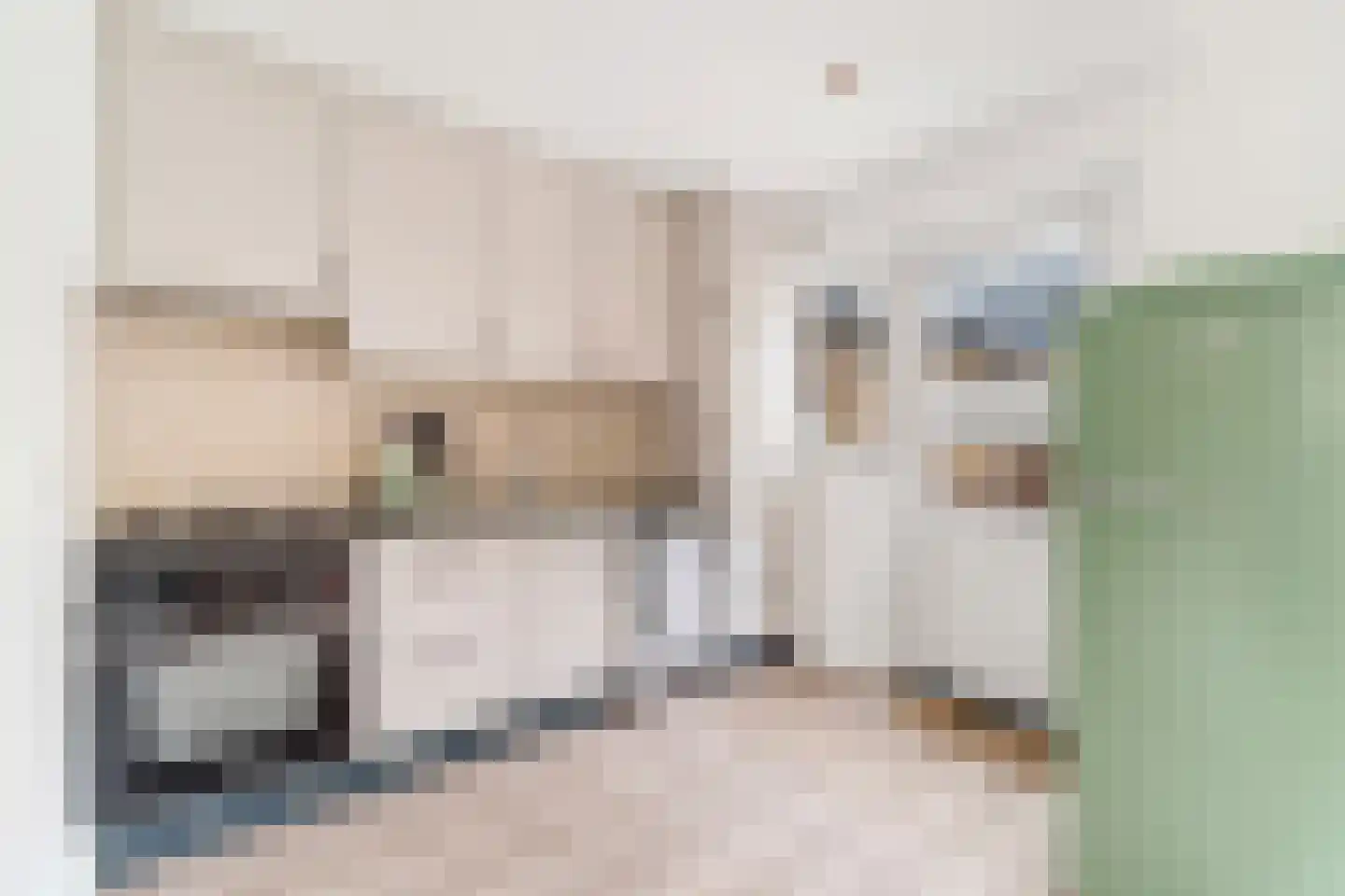 van Ruysdaelstraat 6 Nijverdal thumbnail 8