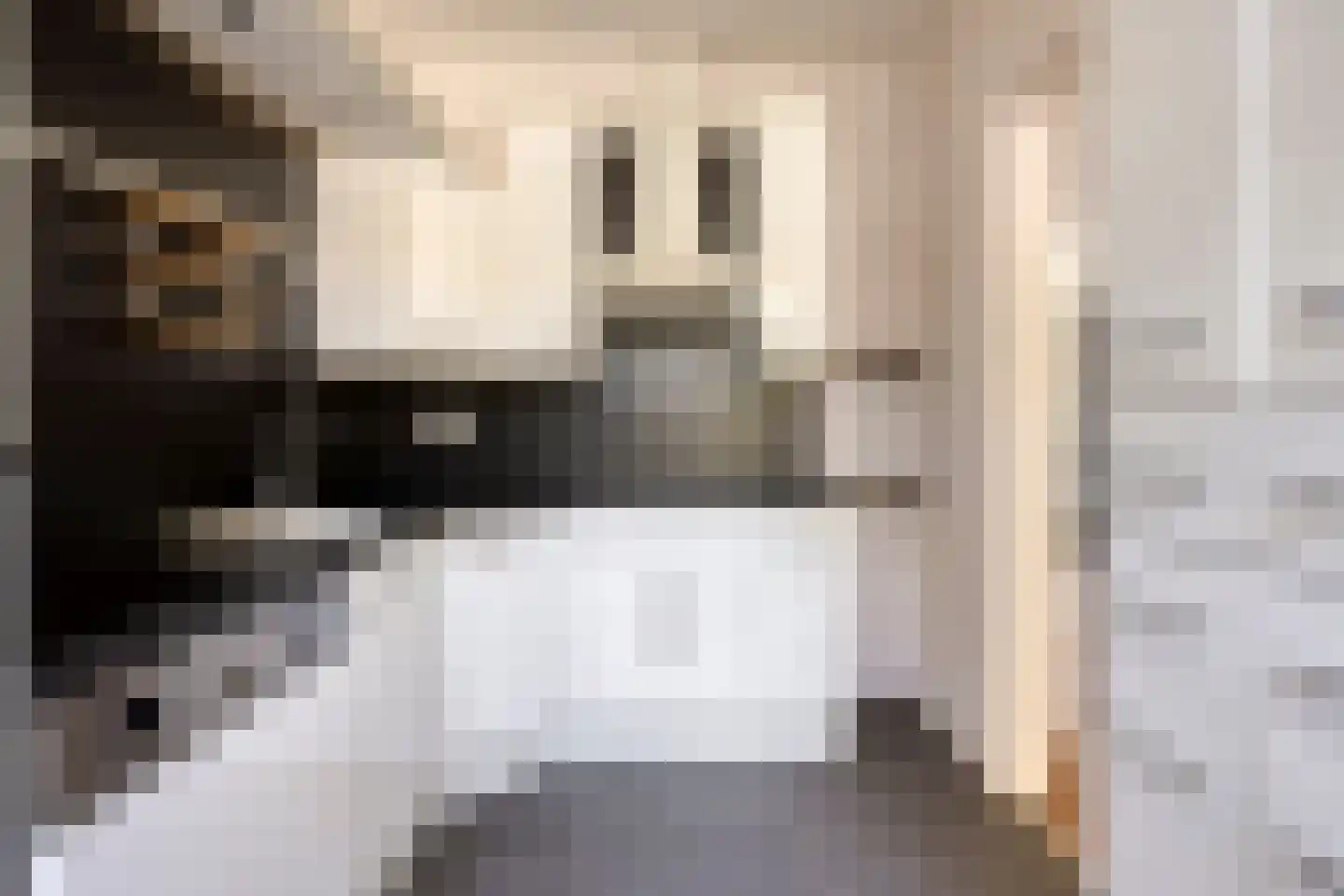 Van Ruysdaelstraat 9 Oudheusden thumbnail 13
