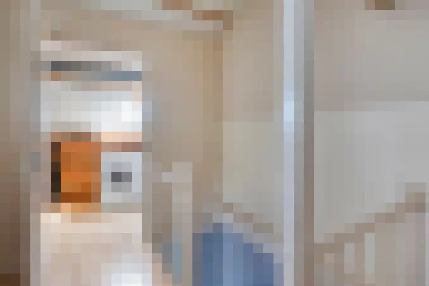Van Ruysdaelstraat 9 Oudheusden thumbnail 25