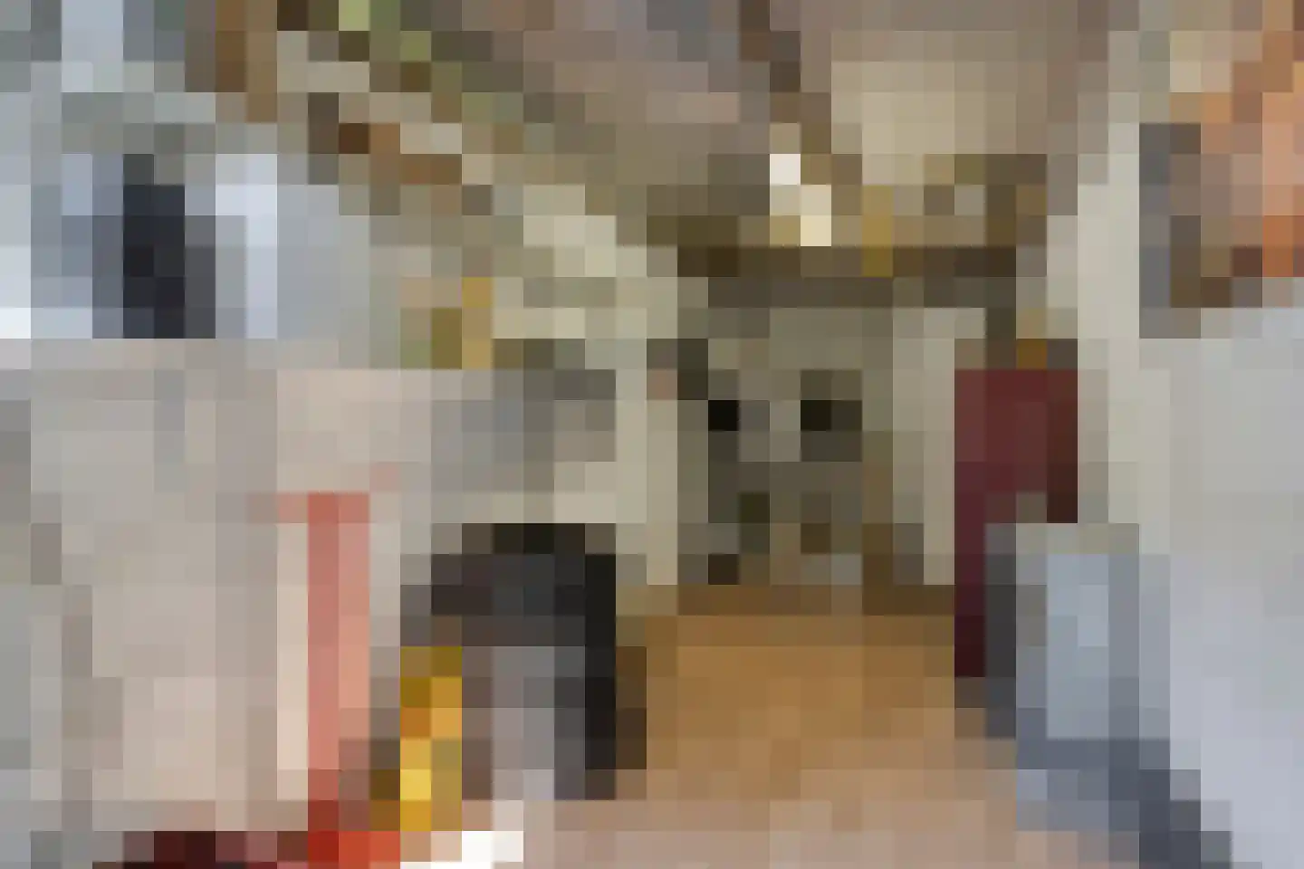 Van Ruysdaelstraat 9 Oudheusden thumbnail 33