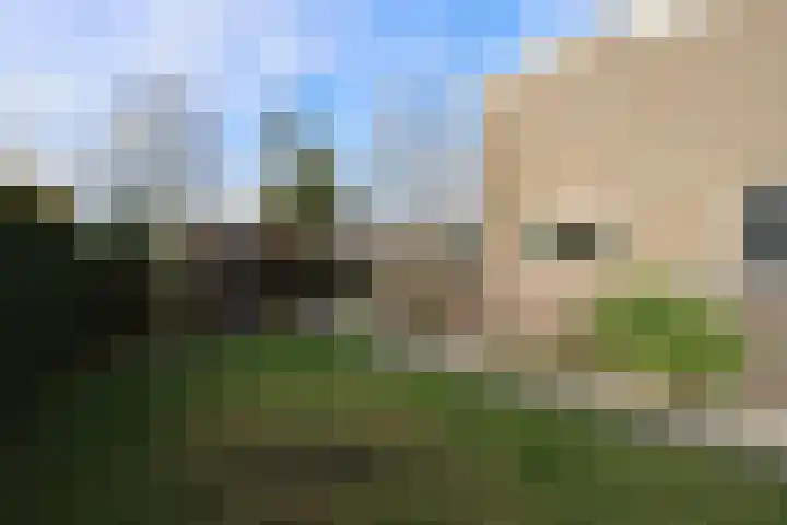 van Ruysdaelweg 25 Groesbeek thumbnail 8