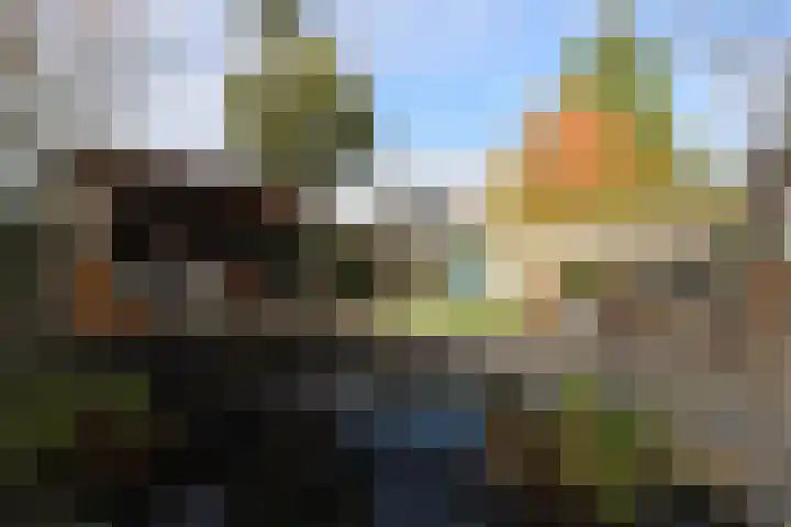 van Ruysdaelweg 25 Groesbeek thumbnail 9